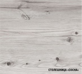 АСАЯ Кухонный гарнитур Экстра (3000 мм) в Нижневартовске - niznevartovsk.ok-mebel.com | фото 8