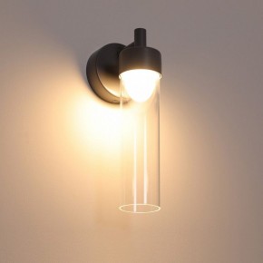 Бра Favourite Outdoor 4703-1W в Нижневартовске - niznevartovsk.ok-mebel.com | фото 4