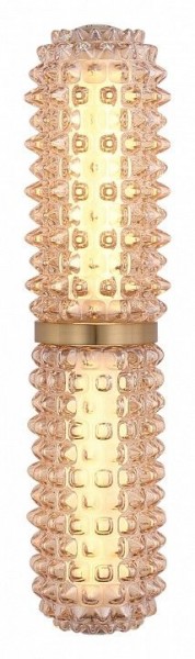 Бра ST-Luce SAGUARO SL6144.301.01 в Нижневартовске - niznevartovsk.ok-mebel.com | фото 3
