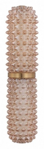 Бра ST-Luce SAGUARO SL6144.301.01 в Нижневартовске - niznevartovsk.ok-mebel.com | фото 4