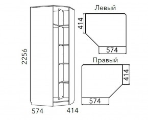 Детская Фанк Шкаф угловой Левый/Правый НМ 013.04-02 М в Нижневартовске - niznevartovsk.ok-mebel.com | фото 3