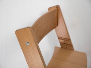 Детский растущий стул из бука Премиум Конёк Горбунёк (Светлый бук) в Нижневартовске - niznevartovsk.ok-mebel.com | фото 3