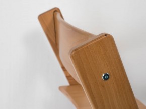 Детский растущий стул из бука Премиум Конёк Горбунёк (Светлый бук) в Нижневартовске - niznevartovsk.ok-mebel.com | фото 4