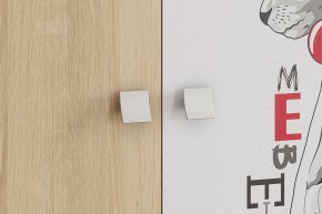 ЭНЕРДЖИ Шкаф 2-створчатый в Нижневартовске - niznevartovsk.ok-mebel.com | фото 4