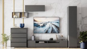 Комод Сибити в Нижневартовске - niznevartovsk.ok-mebel.com | фото 5