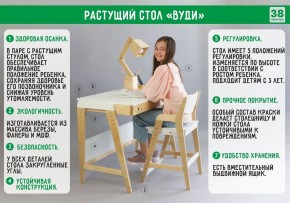 Комплект растущий стол и стул с чехлом 38 попугаев «Вуди» (Серый, Береза, Беж) в Нижневартовске - niznevartovsk.ok-mebel.com | фото