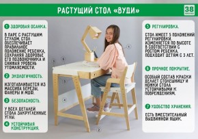 Комплект растущий стол и стул с чехлом 38 попугаев «Вуди» (Серый, Береза, Салют) в Нижневартовске - niznevartovsk.ok-mebel.com | фото