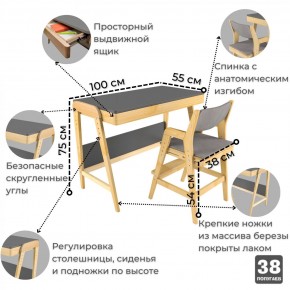 Комплект растущий стол и стул с чехлом 38 попугаев «Вуди» (Серый, Береза, Серый) в Нижневартовске - niznevartovsk.ok-mebel.com | фото