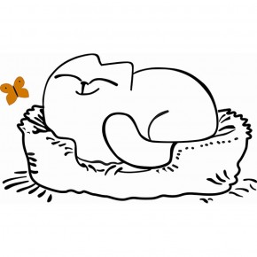 Кровать двухуровневая Кот № 900.1 ПРАВАЯ (туя светлая/белый) в Нижневартовске - niznevartovsk.ok-mebel.com | фото 2