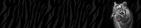 Кухонный фартук Фауна 055 МДФ матовый (3000) Fauna в Нижневартовске - niznevartovsk.ok-mebel.com | фото 1