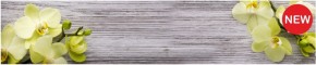Кухонный фартук КМ 09 Композит глянец (3000) в Нижневартовске - niznevartovsk.ok-mebel.com | фото 1