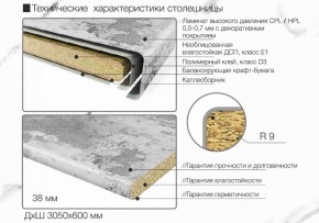 Кухонный фартук со столешницей (А-011) в едином стиле (3050 мм) в Нижневартовске - niznevartovsk.ok-mebel.com | фото 6