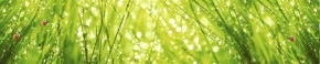 Кухонный фартук Цветы 115 МДФ матовый (3000) Flowers в Нижневартовске - niznevartovsk.ok-mebel.com | фото 1
