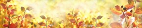 Кухонный фартук Цветы 318 МДФ матовый (3000) Flowers в Нижневартовске - niznevartovsk.ok-mebel.com | фото 1
