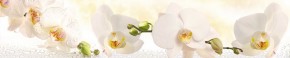 Кухонный фартук Цветы 328 МДФ матовый (3000) Flowers в Нижневартовске - niznevartovsk.ok-mebel.com | фото