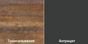 Кухонный гарнитур угловой Трансильвания 2600х1600 мм (Стол. 38 мм) в Нижневартовске - niznevartovsk.ok-mebel.com | фото 3