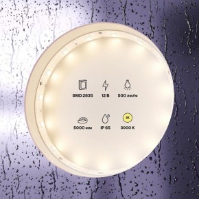 Лента светодиодная Maytoni Led strip 10105 в Нижневартовске - niznevartovsk.ok-mebel.com | фото 2