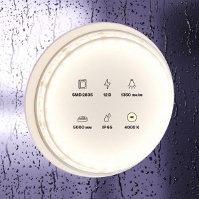 Лента светодиодная Maytoni Led strip 10118 в Нижневартовске - niznevartovsk.ok-mebel.com | фото 2