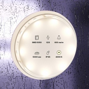 Лента светодиодная Maytoni Led strip 10124 в Нижневартовске - niznevartovsk.ok-mebel.com | фото 3