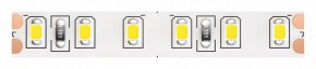 Лента светодиодная Maytoni Led strip 10147 в Нижневартовске - niznevartovsk.ok-mebel.com | фото