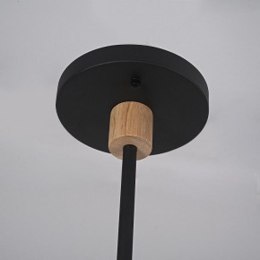 Люстра на штанге Imperiumloft TURNA Black TURNA-DBL01 в Нижневартовске - niznevartovsk.ok-mebel.com | фото 9