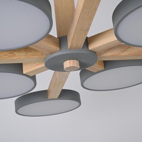 Люстра на штанге Imperiumloft TURNA Gray TURNA-B01 в Нижневартовске - niznevartovsk.ok-mebel.com | фото 7