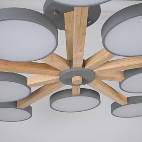 Люстра на штанге Imperiumloft TURNA Gray TURNA-B01 в Нижневартовске - niznevartovsk.ok-mebel.com | фото 10