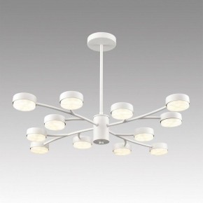 Люстра на штанге Lumion TORINA 8265/12 в Нижневартовске - niznevartovsk.ok-mebel.com | фото 3