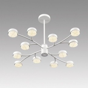 Люстра на штанге Lumion TORINA 8265/12 в Нижневартовске - niznevartovsk.ok-mebel.com | фото 5