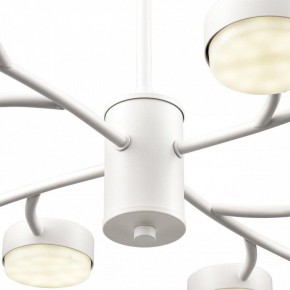 Люстра на штанге Lumion TORINA 8265/12 в Нижневартовске - niznevartovsk.ok-mebel.com | фото 8