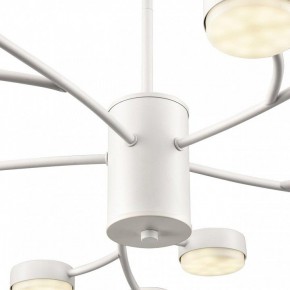 Люстра на штанге Lumion TORINA 8265/15 в Нижневартовске - niznevartovsk.ok-mebel.com | фото 8