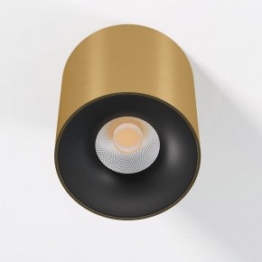 Накладной светильник Elektrostandard Primo 25116/LED в Нижневартовске - niznevartovsk.ok-mebel.com | фото 2