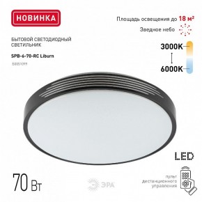 Накладной светильник Эра Классик SPB-6-70-RC Liburn в Нижневартовске - niznevartovsk.ok-mebel.com | фото 10