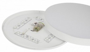 Накладной светильник Эра Relict Relict 48 Pult SPB-6-60-RC WH в Нижневартовске - niznevartovsk.ok-mebel.com | фото 11