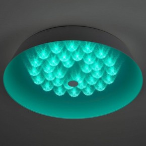 Накладной светильник Эра  SPB-6-60-RC Locus RGB в Нижневартовске - niznevartovsk.ok-mebel.com | фото 8