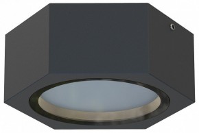 Накладной светильник Favourite Fantum 4667-1U в Нижневартовске - niznevartovsk.ok-mebel.com | фото