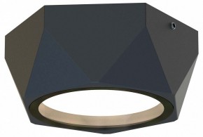 Накладной светильник Favourite Fantum 4670-1U в Нижневартовске - niznevartovsk.ok-mebel.com | фото
