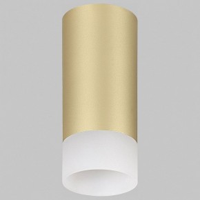 Накладной светильник Imex LEON GU10 IL.0005.4800 MG в Нижневартовске - niznevartovsk.ok-mebel.com | фото 1