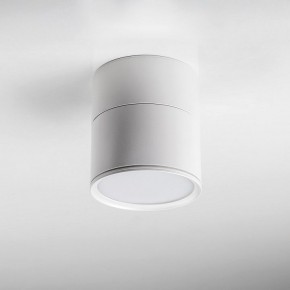 Накладной светильник Lightstar Acuto 215886 в Нижневартовске - niznevartovsk.ok-mebel.com | фото 3