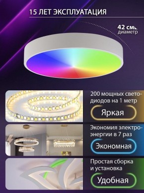 Накладной светильник Natali Kovaltseva MODERN LED LAMPS 81105/1C в Нижневартовске - niznevartovsk.ok-mebel.com | фото 6