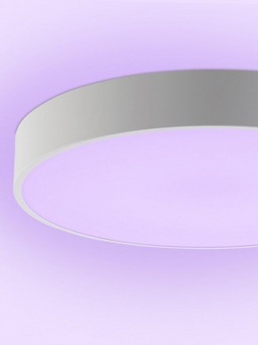 Накладной светильник Natali Kovaltseva MODERN LED LAMPS 81105/1C в Нижневартовске - niznevartovsk.ok-mebel.com | фото 9