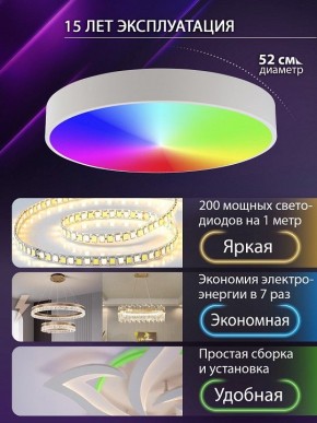 Накладной светильник Natali Kovaltseva MODERN LED LAMPS 81105/2C в Нижневартовске - niznevartovsk.ok-mebel.com | фото 6