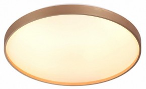 Накладной светильник Sonex Gaby 7783/EL в Нижневартовске - niznevartovsk.ok-mebel.com | фото 5