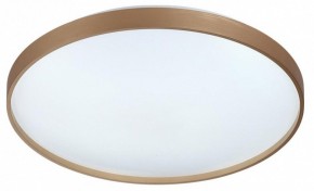 Накладной светильник Sonex Gaby 7783/EL в Нижневартовске - niznevartovsk.ok-mebel.com | фото 6