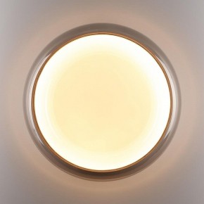 Накладной светильник Sonex PORTMAN 7777/DLN в Нижневартовске - niznevartovsk.ok-mebel.com | фото 6
