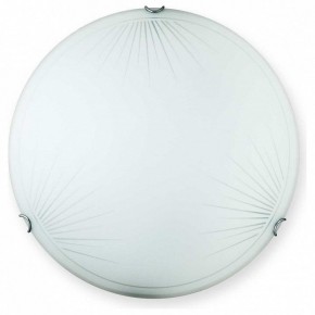 Накладной светильник TopLight Wifa TL9142Y-00WH в Нижневартовске - niznevartovsk.ok-mebel.com | фото