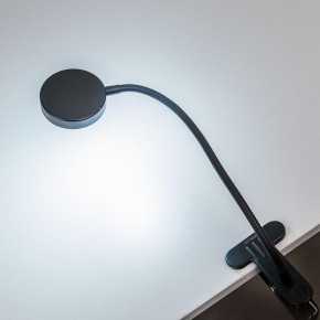Настольная лампа офисная Citilux Ньютон CL803071N в Нижневартовске - niznevartovsk.ok-mebel.com | фото 4