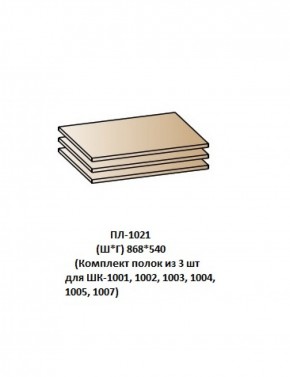 ПЛ-1021 (Комплект полок из 3 шт для ШК-1001, 1002, 1003, 1004, 1005, 1007) в Нижневартовске - niznevartovsk.ok-mebel.com | фото