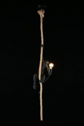 Подвесной светильник Aployt Magali APL.309.16.01 в Нижневартовске - niznevartovsk.ok-mebel.com | фото 3