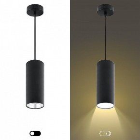 Подвесной светильник Эра  PL12 GX53 BK/SL в Нижневартовске - niznevartovsk.ok-mebel.com | фото 5